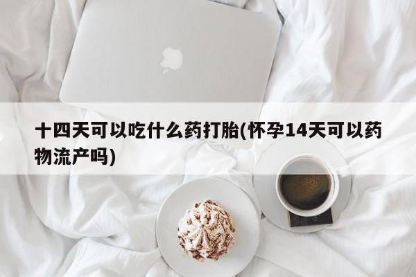 堕胎药在线购买十四天可以吃什么药打胎(怀孕14天可以药物流产吗)